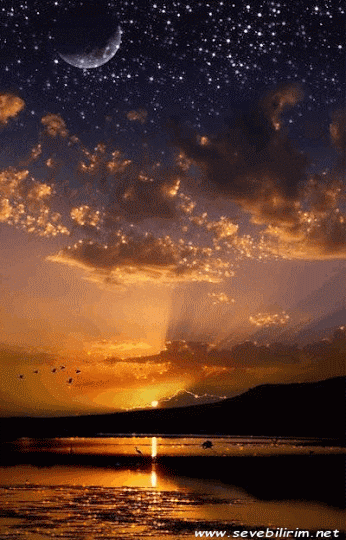 tumblr_nwwl4hGF0T1to83fyo1_400