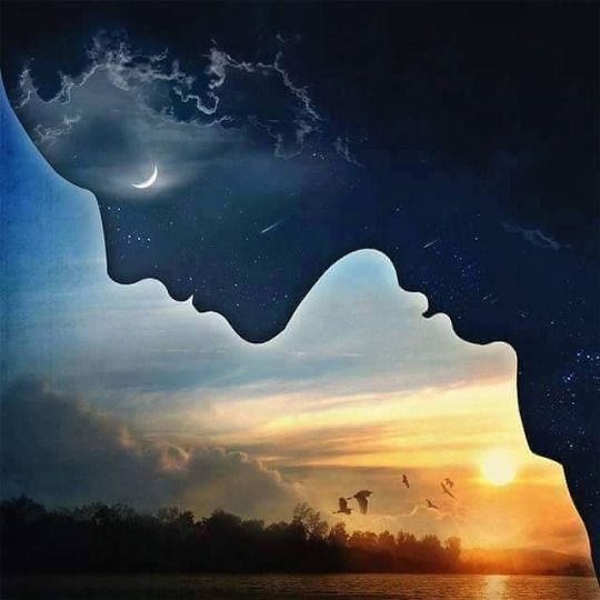 001c832cf12b1121a85a7d7e610c53ff