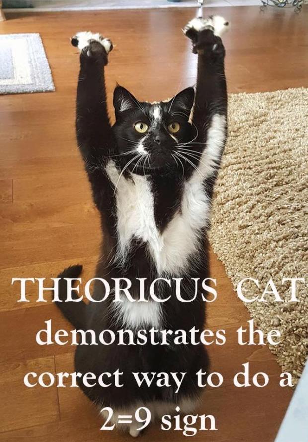 THEORICUS-CAT