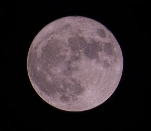 Moon SuperSuper Nov 14 2016 Otto