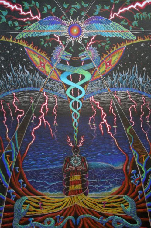 Ayahuasca vision, twin flames, astrology