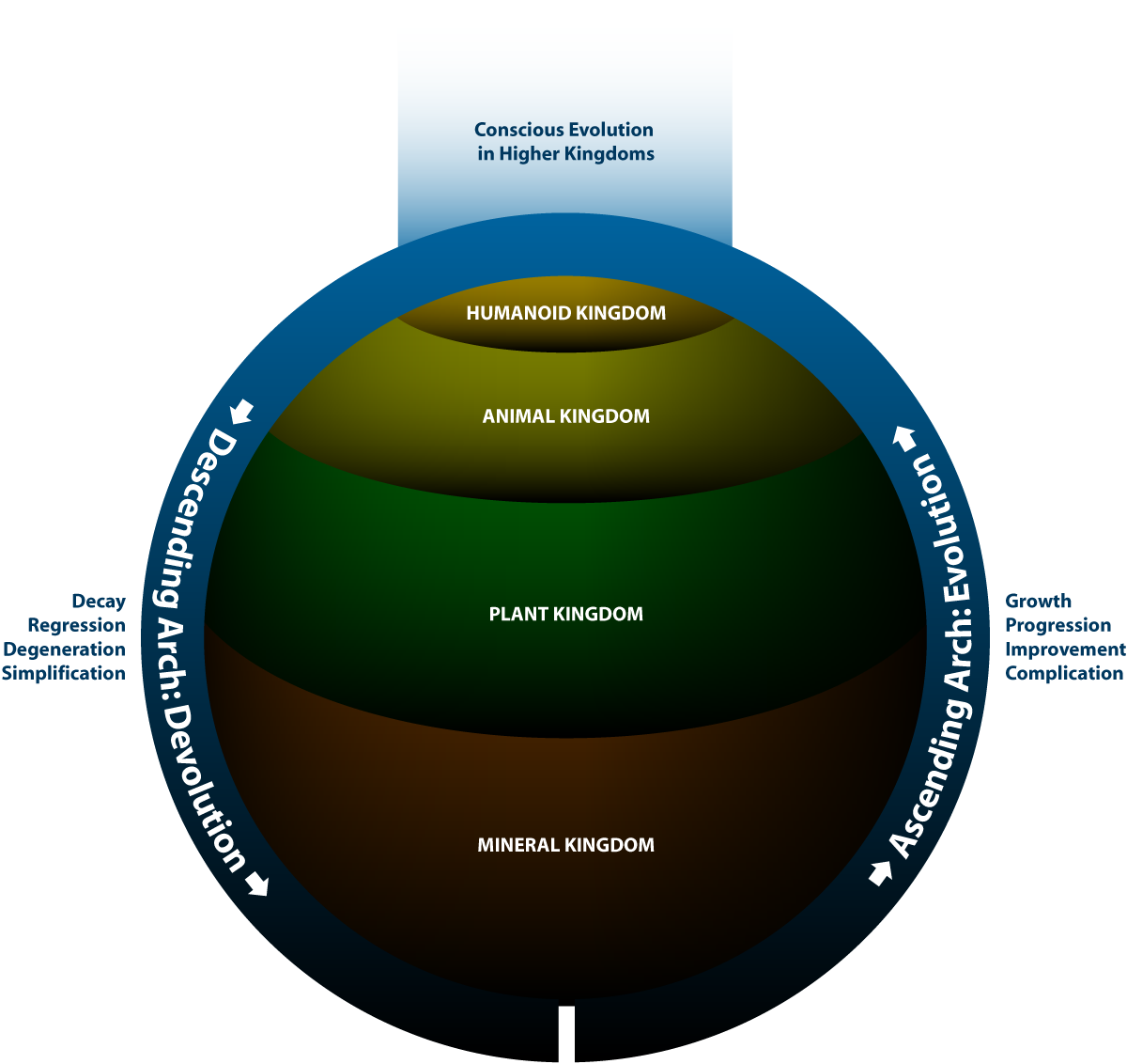 evolution-and-devolution-kingdoms