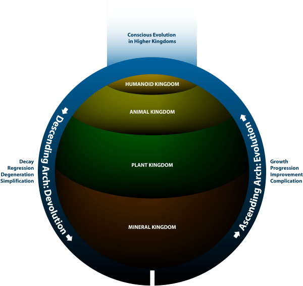 evolution-and-devolution-kingdoms