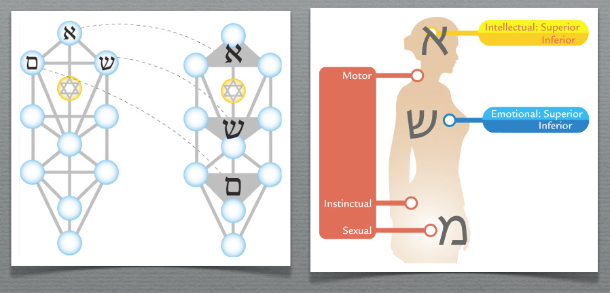 mother-letters-three-brains