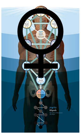 tree-of-life-venus